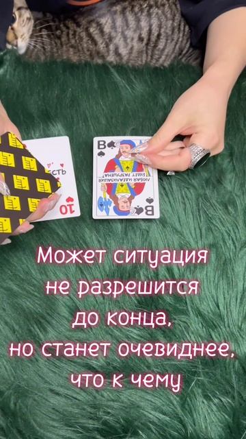 Понедельник 15.12 #таро #диагностикатаро #мастертаро #таролог #таромастер #гороскоп #тарологпроводни