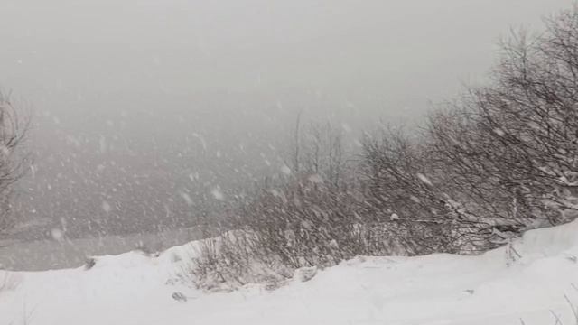 Ока заметеленная 14.12.2025