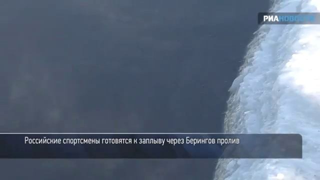 Российские моржи переплывут Берингов пролив