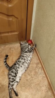 не любит, когда ухожу на работу...