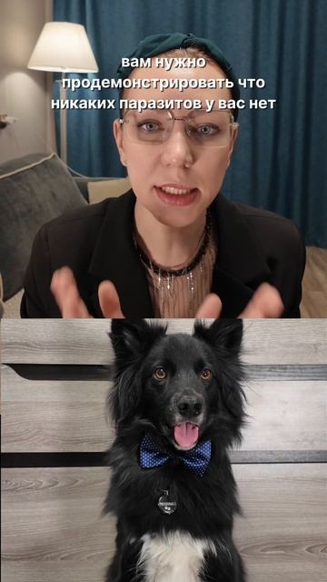 Псинотерапевт: дали глистогонку