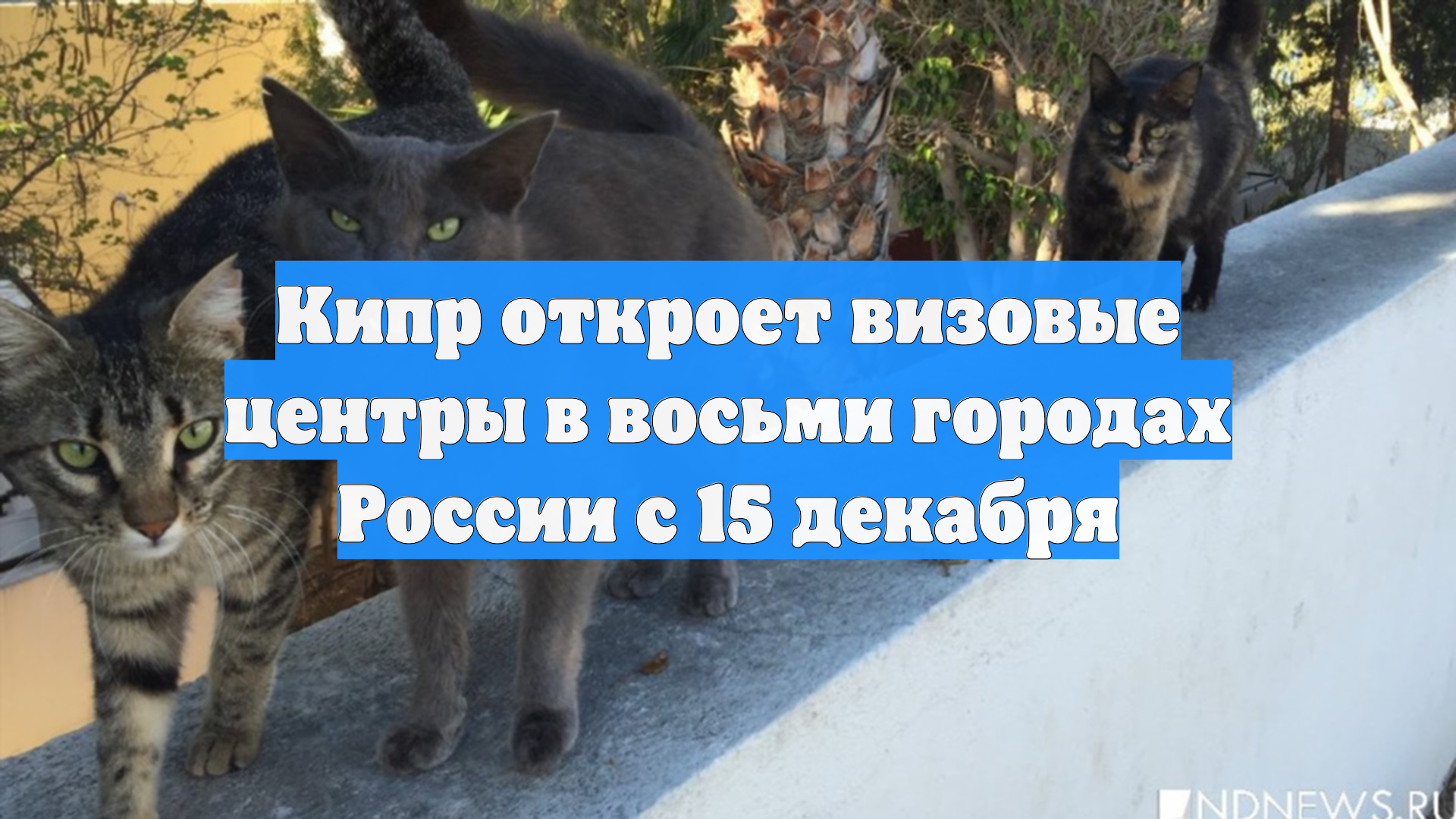 Кипр откроет визовые центры в восьми городах России с 15 декабря