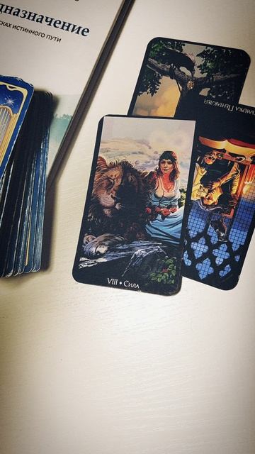 ПОДАРОК ОТ ВСЕЛЕННОЙ. ТАРО