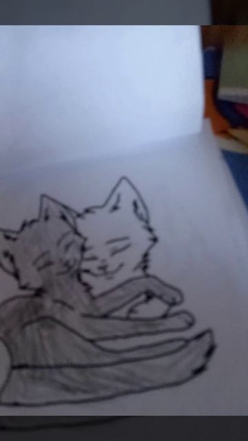 Коты воители раскраска Голубка и Когтезвезд