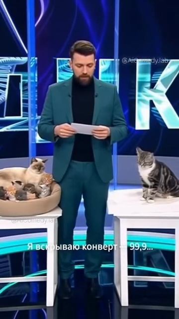 #котики #кошка #киса #домашниеживотные #кошки #пес #собакадругчеловека #собака #собаки #щенок #мимим