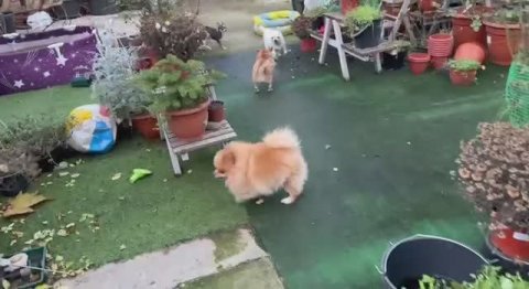 Наконец и к нам морозец приходит.