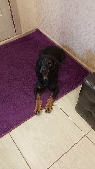 Экстренный вызов!