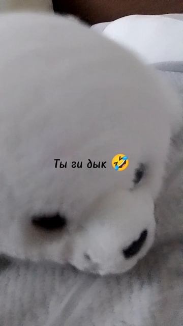 Я и Юма core идею взяла у Полины