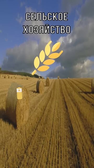 Экономика России | #shorts #shortvideo #россия #экономика