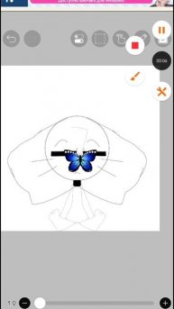 SVID_20251214_173137_1.mp4