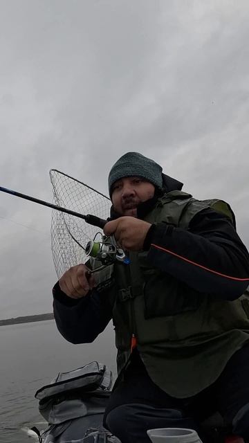 Первый раз ловлю с ActiveTarget 2 (мои впечатления и опыт)