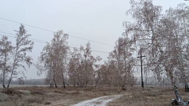 Ледяная красота❄️❄️