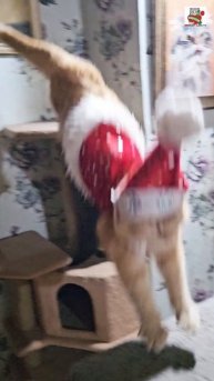 Ждать уже недолго 🌜❤️🎄🎁🎅