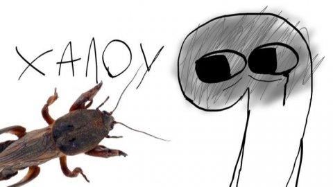 отвечаю на вопросы по моему шоу