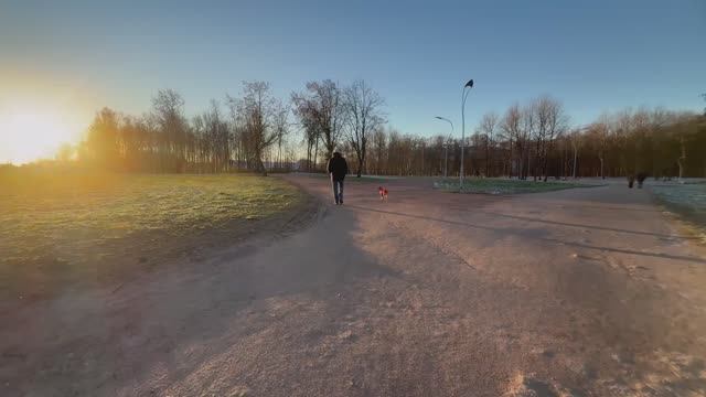 ПРИГОТОВИЛА БОРЩ. РАСПАКОВКА ПРОДУКТОВ.