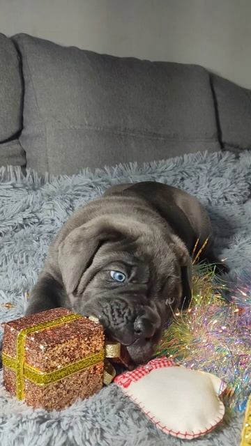 Мы готовы переехать к Вам!