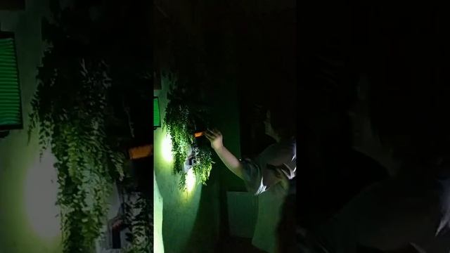 Амонгас 08.11.25