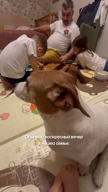 Лучший отдых