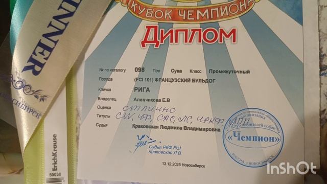 итоги выставки 13.12.2025 трёх штук