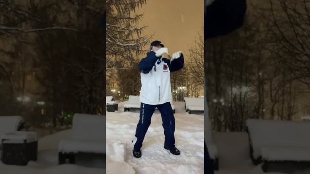 Ицюань (1577 день) Ченбао и Хуньюань Чжуан / Фуань Шили Цзо-Ю / Удары кулаком / Спина (13.12.25)