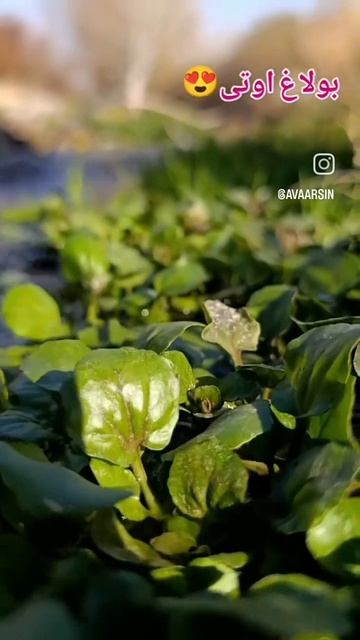 Азербайджан