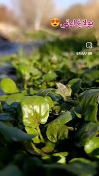 Азербайджан