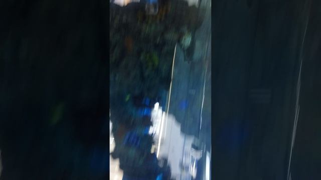 лифт аквариум