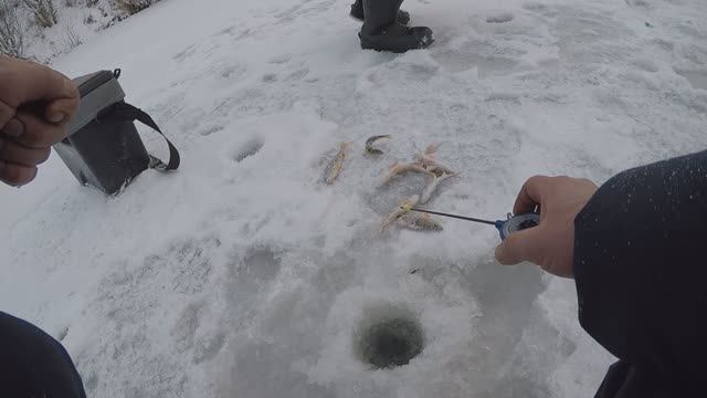 Воскресная рыбалка ,на малых речках с Вованом.