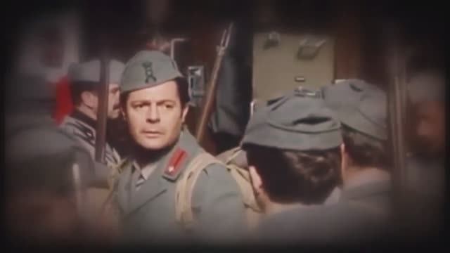 I Girasoli(Vladimir Korotaev)