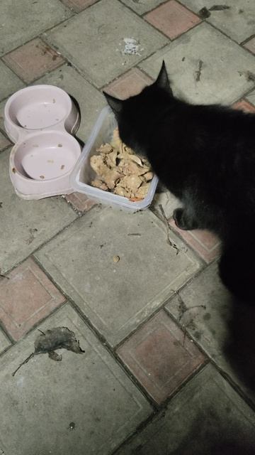 Красатульке нравятся деликатесы.