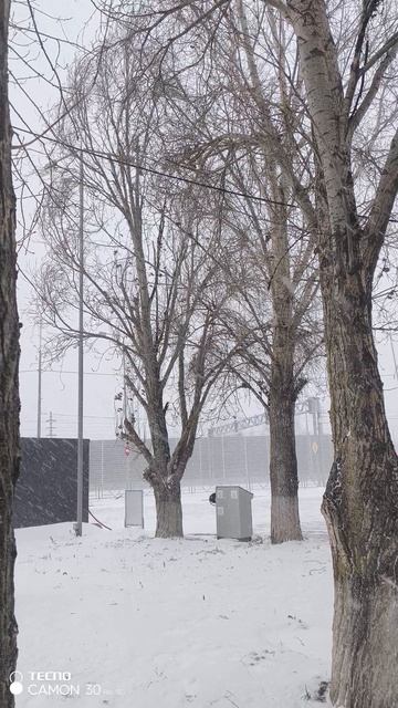 Ирбис 14 декабря 2025 снег второй день .mp4