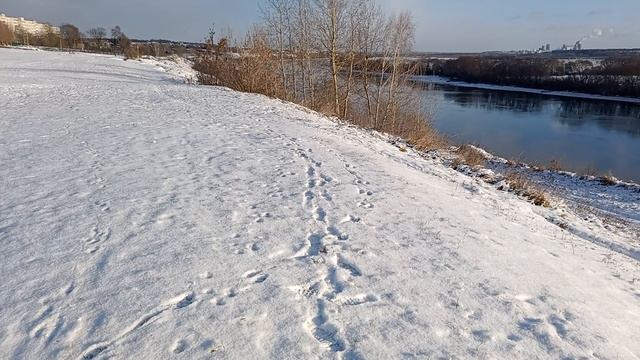 г. Коломна, на берегу р. Ока, 14 декабря
