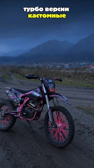 ЭТИ ПИТБАЙКИ НАБИРАЮТ ПОПУЛЯРНОСТЬ