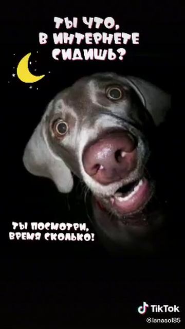 Сколько можно в интернете сидеть ..