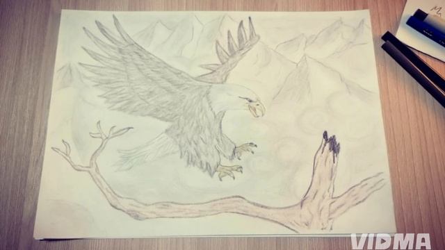 Орёл в небесах