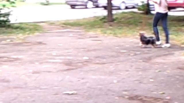 Тренировка