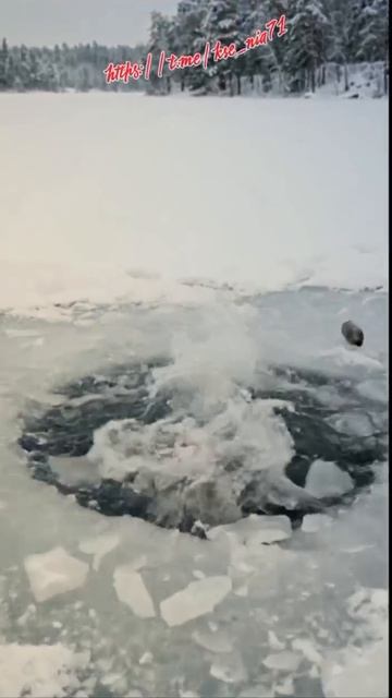 Снегурочка для взрослых...