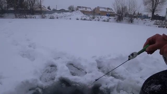 НАКОНЕЦ-ТО И У НАС ПЕРВЫЙ ЛЁД