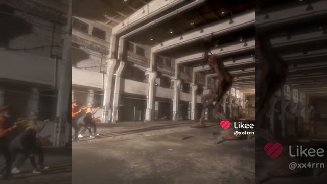 эдит про а4 и сереноголового