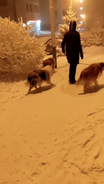 снежный привет из Красноярска