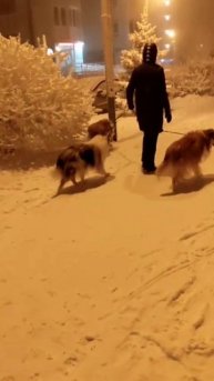 снежный привет из Красноярска