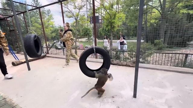 Маня пошла на руки к Алине,но Тося замутила ШКАНДАЛЬ и Люська не разобравшись побежала на Алину!