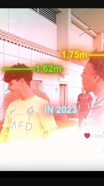 Like_7583635893325425864.mp4