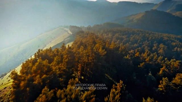 Dj Alexander Demin - Скрипач