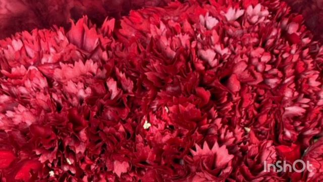 InShot_20250629_183957251