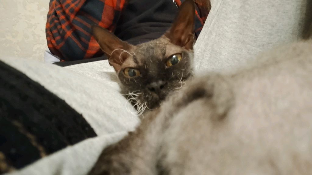 Трансляция:3