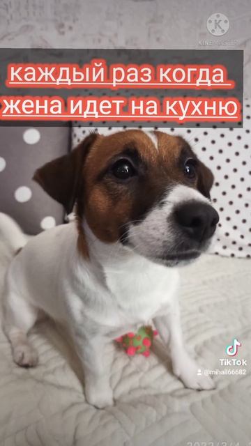 cbafcc7f-46ed-497e-9aa3-7195da2dc68a-1_all_1034.mp4