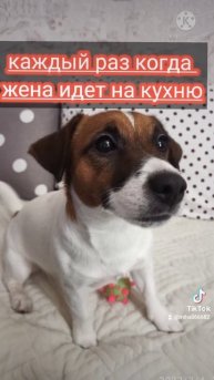 cbafcc7f-46ed-497e-9aa3-7195da2dc68a-1_all_1034.mp4