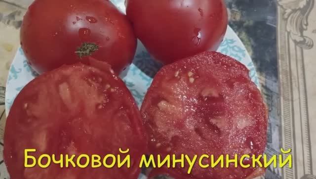 Каталог  томатов на  2026 год. Часть 1.  СКИДКИ на СЕМЕНА!  г. Киров т.89229284031