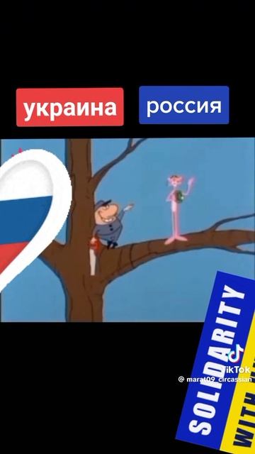 VID-20250615-WA0000.mp4